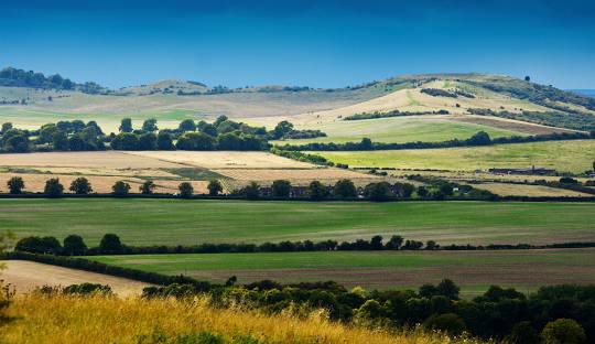 Dunstable Downs