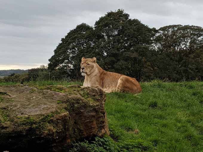 Whipsnade Zoo